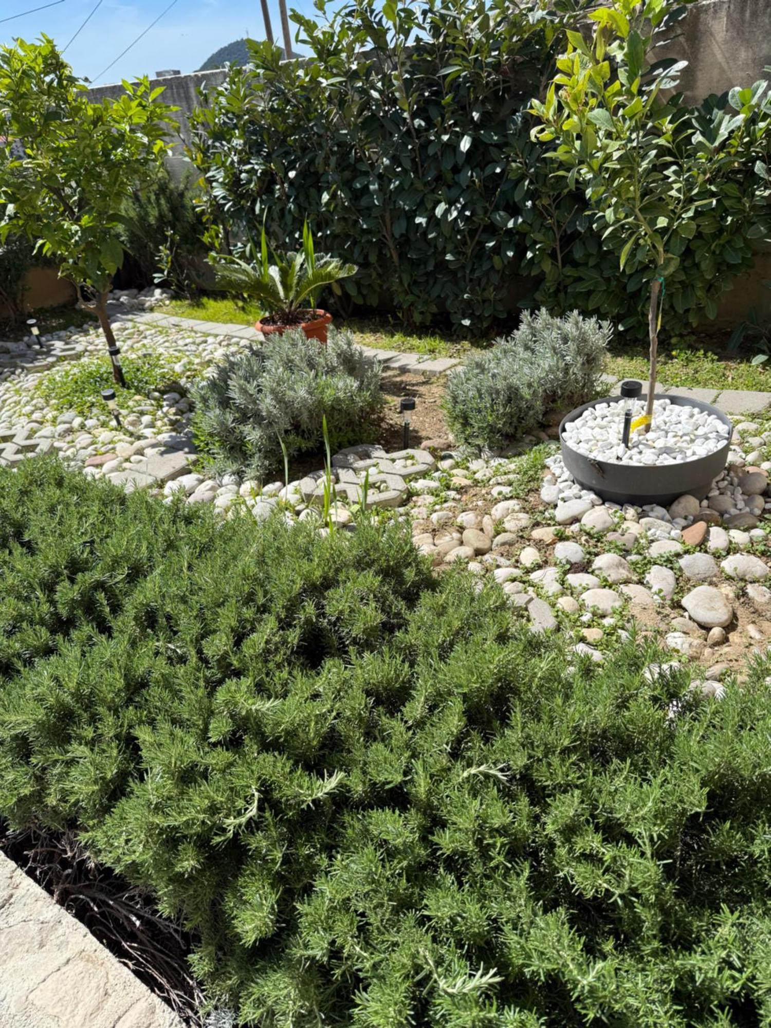 Lemon Tree Dubrovnik Apartments Экстерьер фото