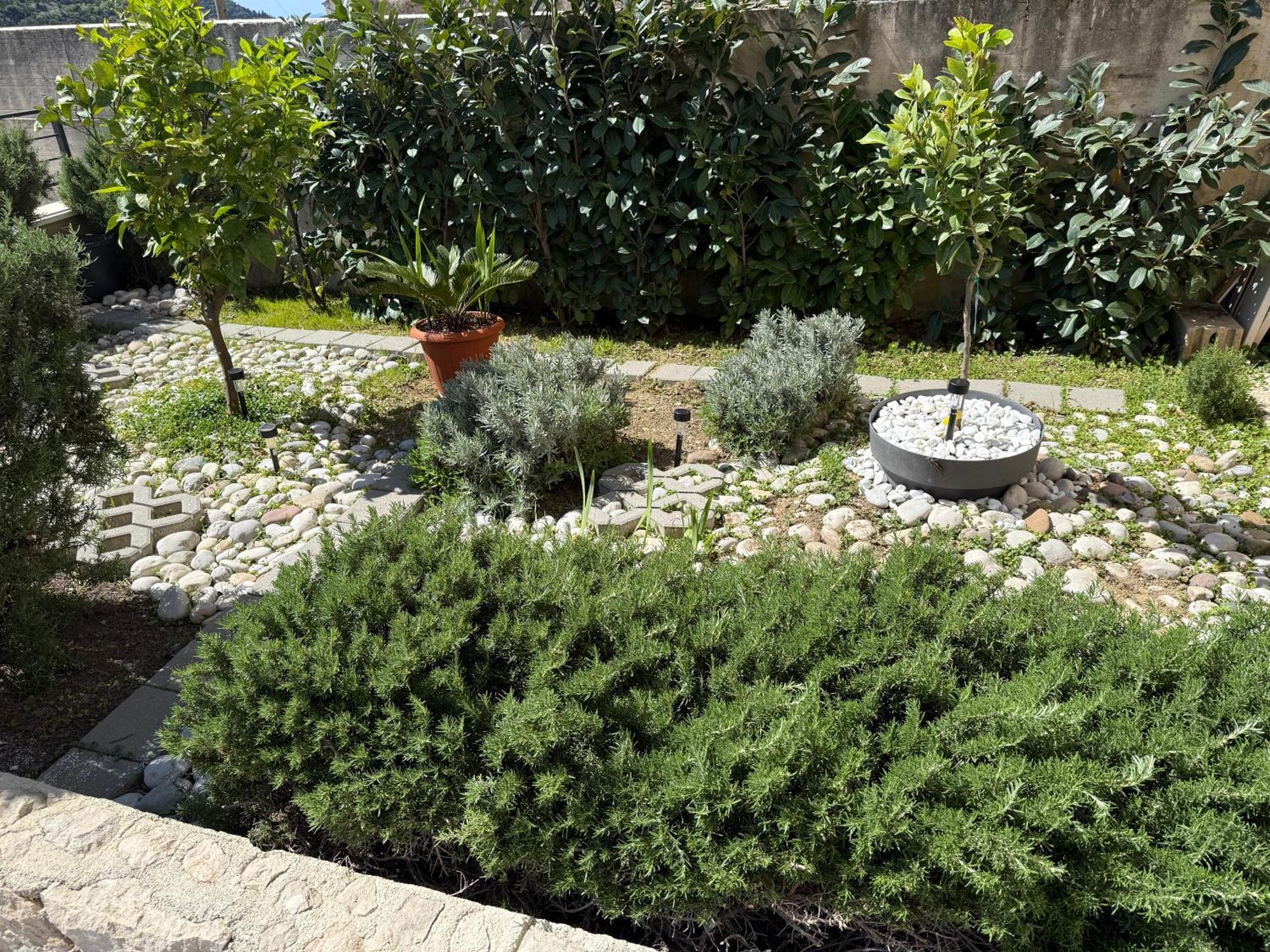 Lemon Tree Dubrovnik Apartments Экстерьер фото